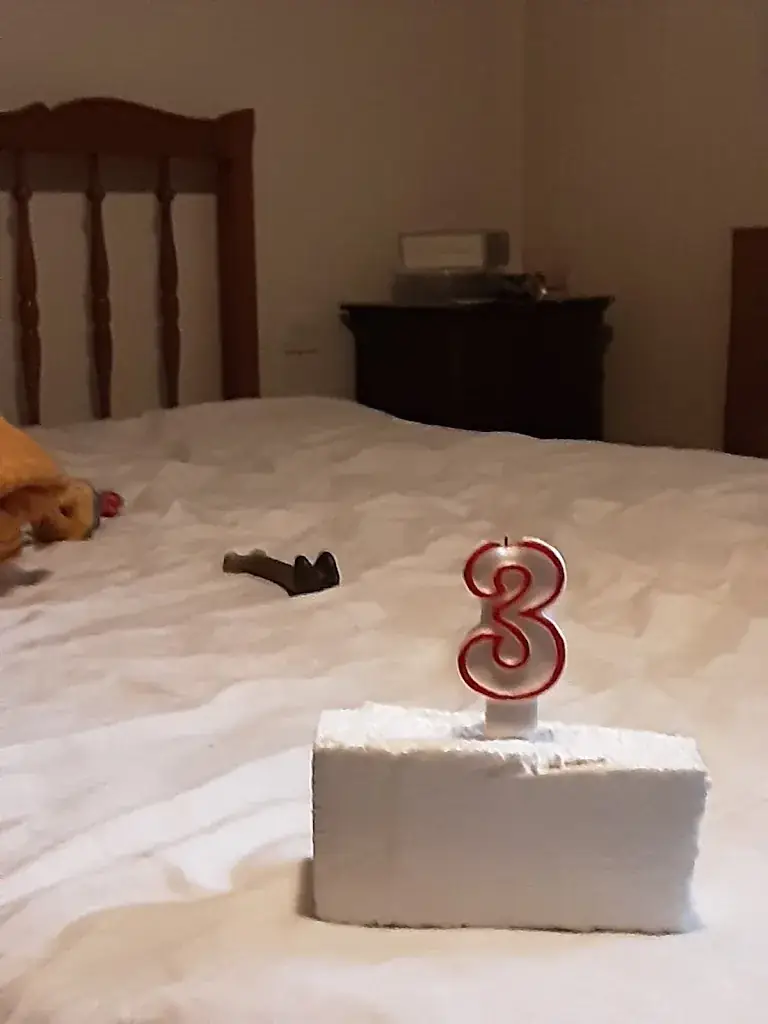 L'Étoile d'Argent_Varangéville_slider_image_2