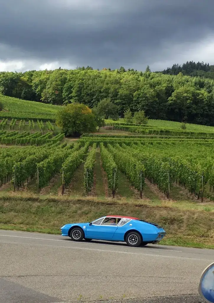 Alex Wyns_Auberge LES JOLIS COEURS - Fondue, Raclette, Spécialités Vosgiennes (proche de Gerardmer, La Bresse, Ventron)_Thiéfosse_recensione