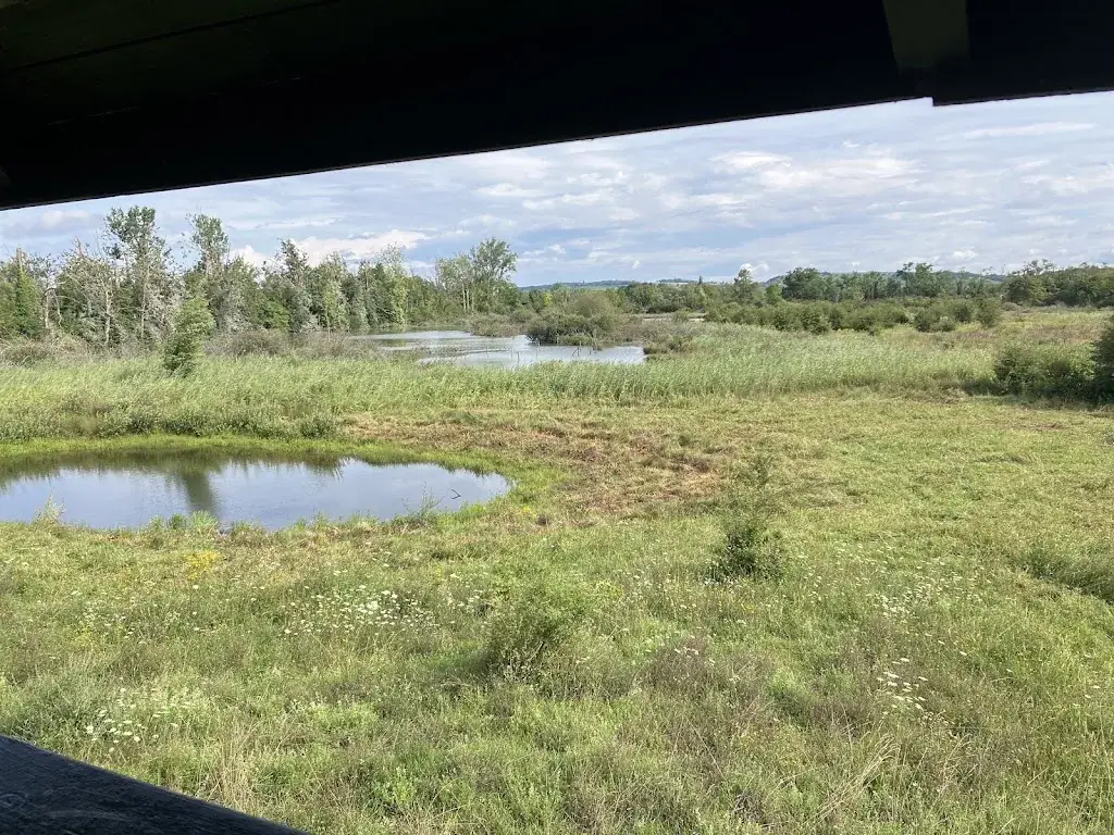 Rafael Betschart_Hôtel Restaurant le Cheval Blanc_Village-Neuf_review