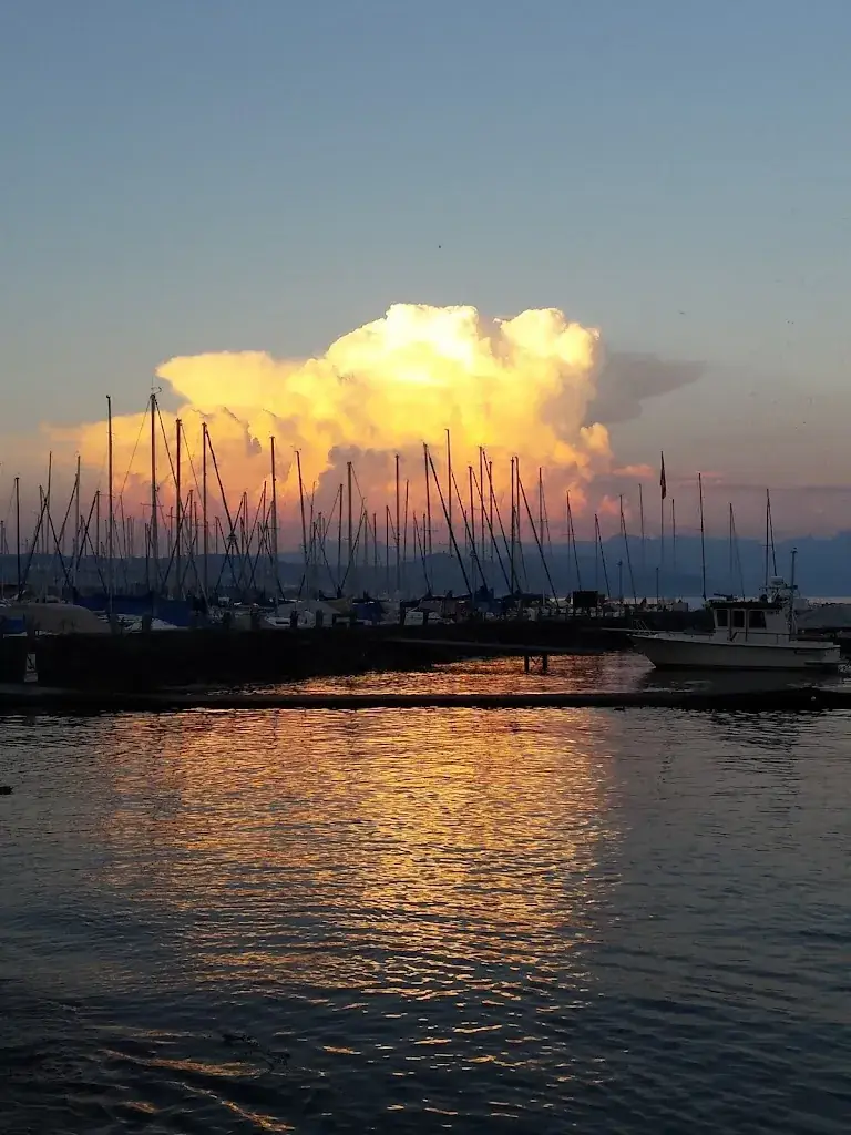 Aux Délices du Lac - Buvette du Petit-Bois_Tolochenaz_slider_image_2