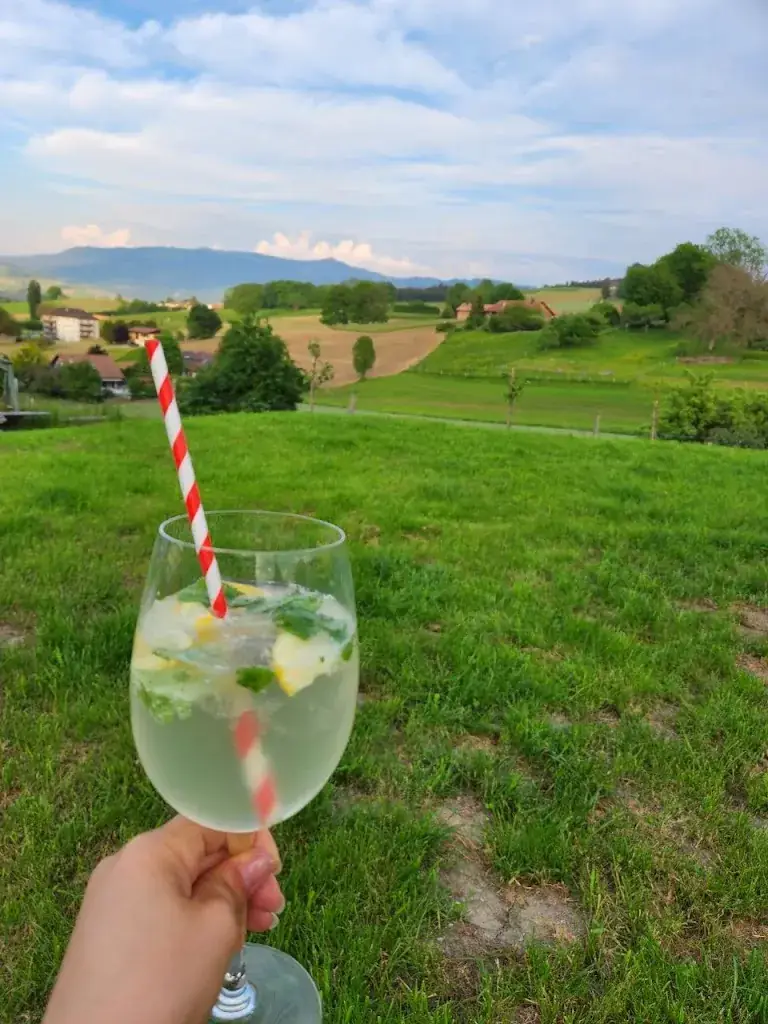 Demetra Solari_Bistro d'Ogoz_Vuisternens-en-Ogoz_review