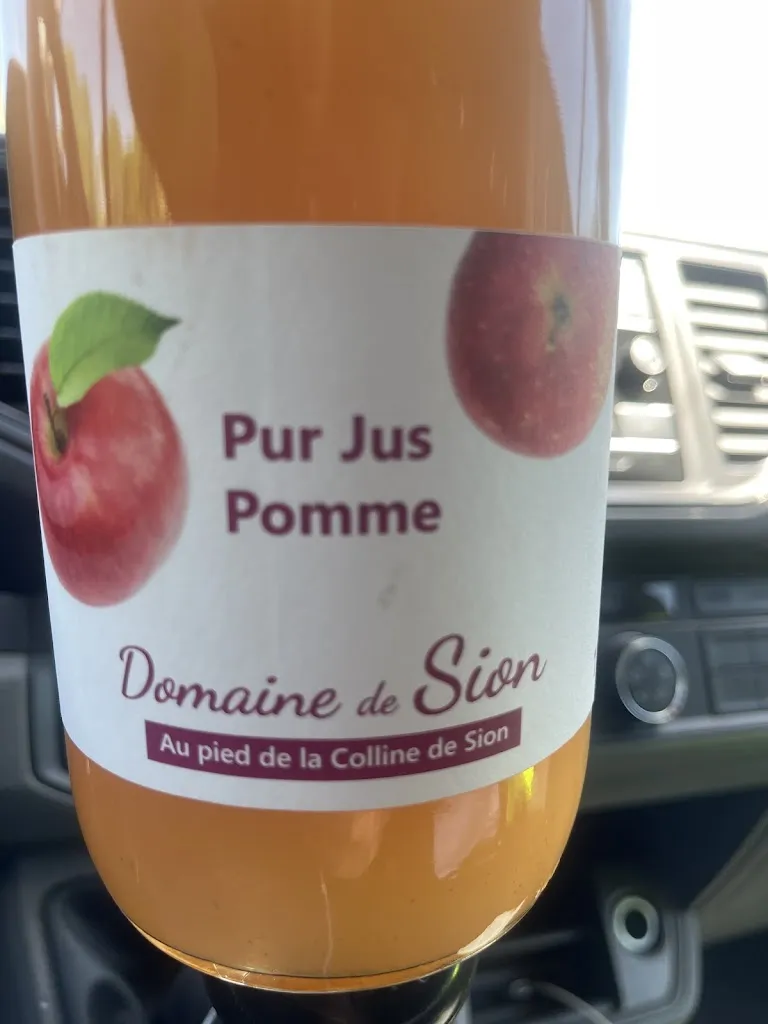 sofian Claudin_Field Sion_Saxon-Sion_review