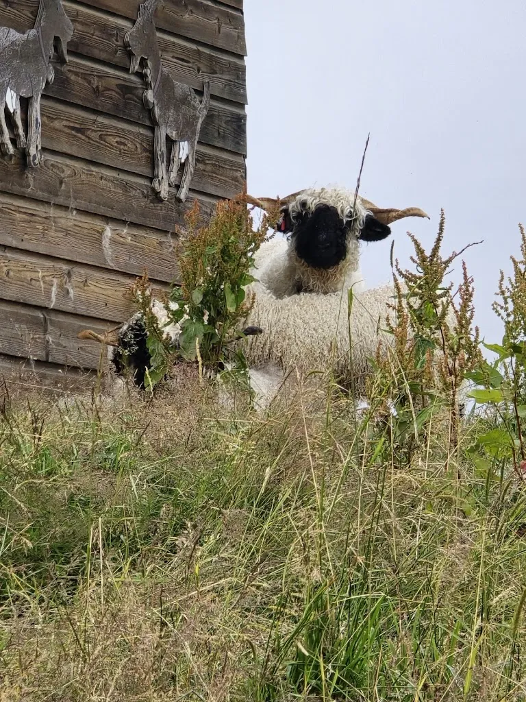 Andrea Briker Angel_La Goille aux Cerfs_Semsales_review