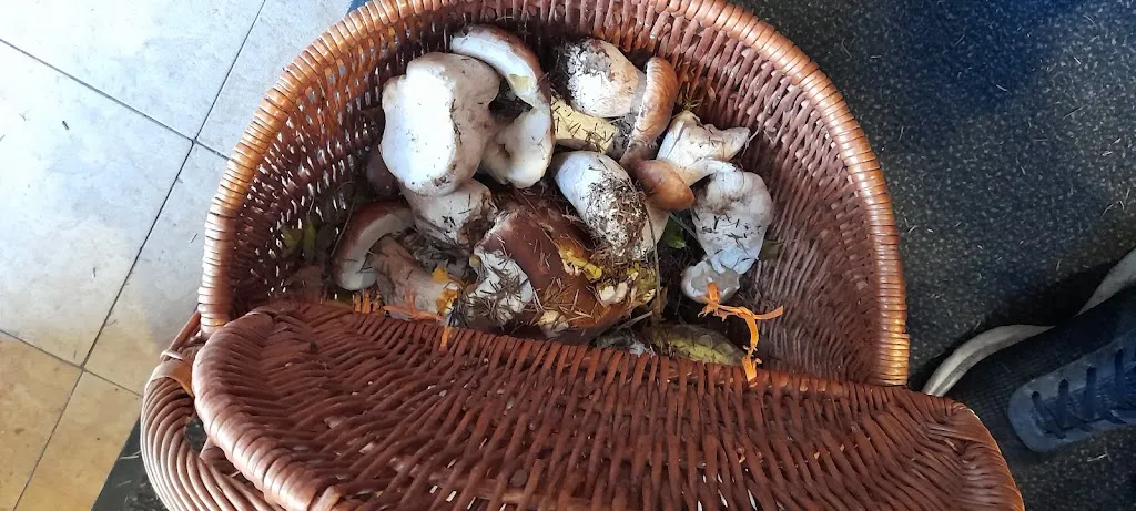 Bar Du Rivage restaurant in Bois