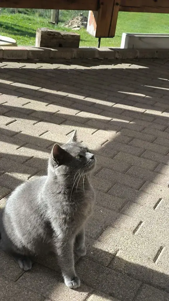 Eliane Boehm_Restaurant du Windsbourg_Wangenbourg-Engenthal_review