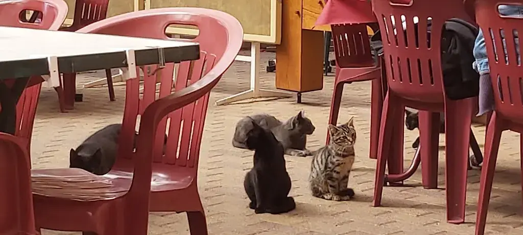 Restaurant du Windsbourg_Wangenbourg-Engenthal_slider_image_1