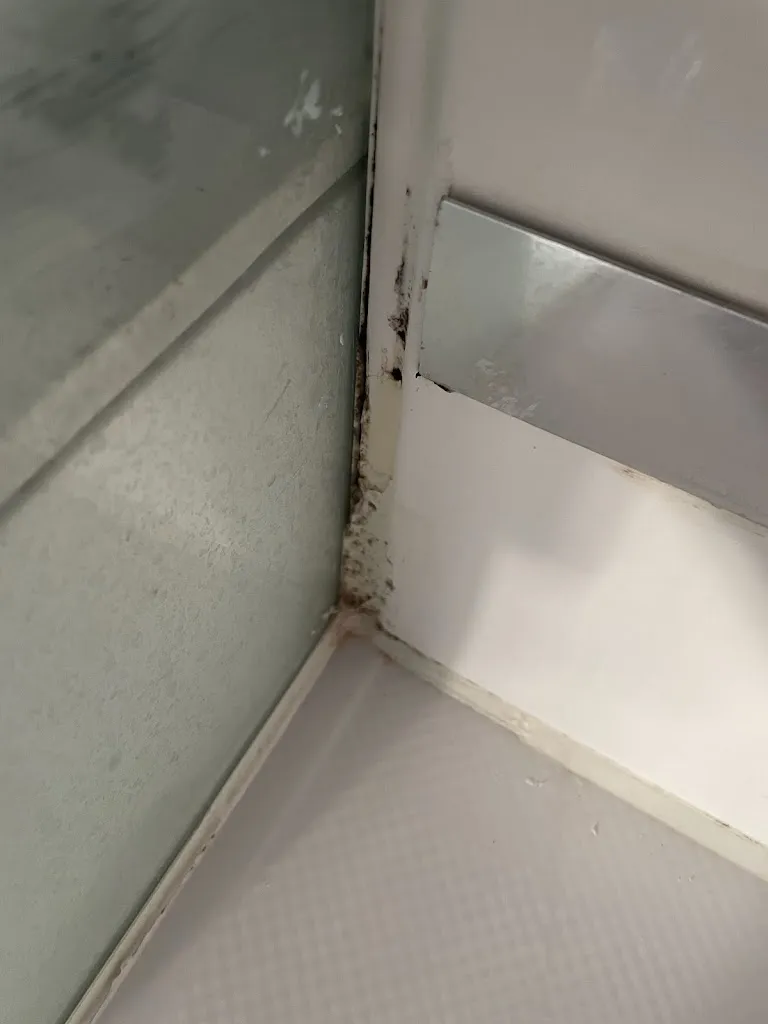 Luca Confalonieri_La Palette_Wettolsheim_review