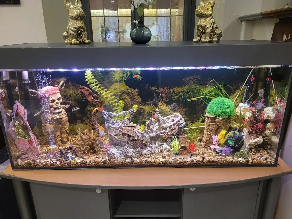 Tero Venäläinen_Hostellerie de l'Étoile_Wasselonne_review