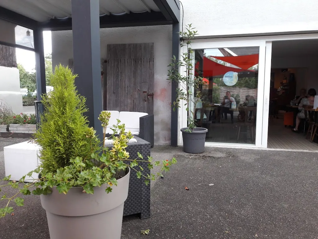 La Grange du Ried restaurant in Wittisheim