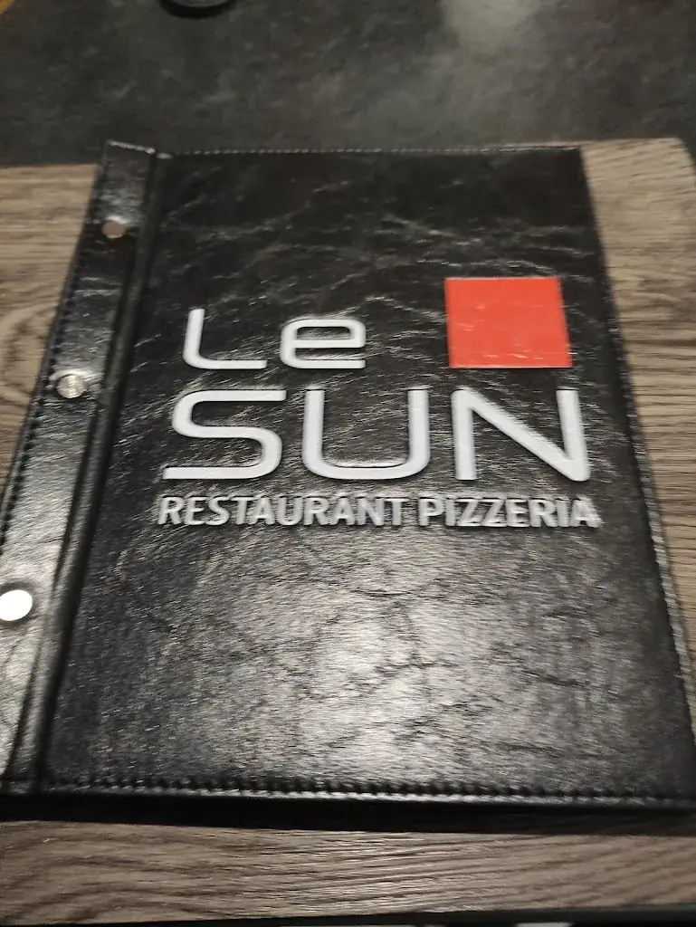 Van Van_Pizza Sun_Woustviller_avis