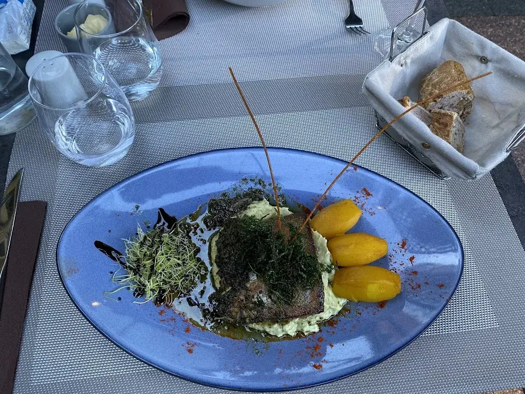 Vincent DM_L'Épicurien_Arras_recensione