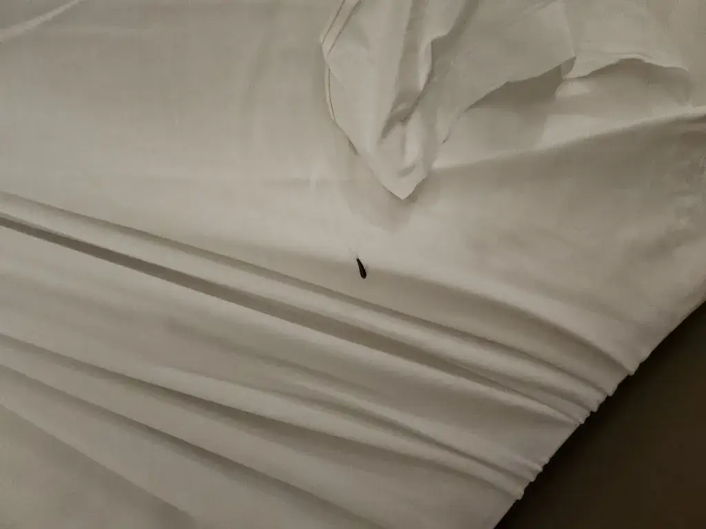 M G_Hôtel Campanile Metz Nord_Woippy_review