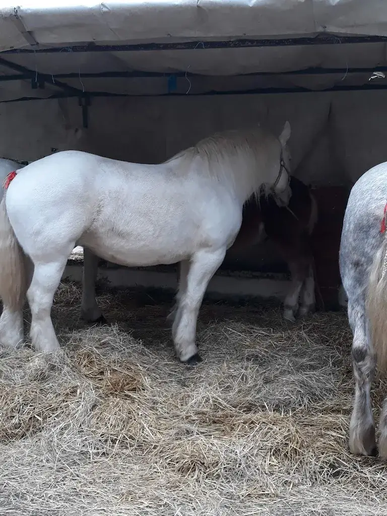 Café du Commerce - Senecal Cagnard Francine_Quesnoy-sur-Airaines_slider_image_2