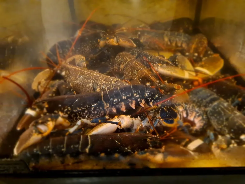 Menu_Le Loup de Mer_Audresselles_image_9