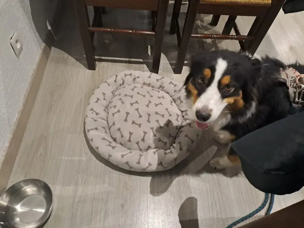 O Ma_Les Grands Enfants_Wissembourg_review