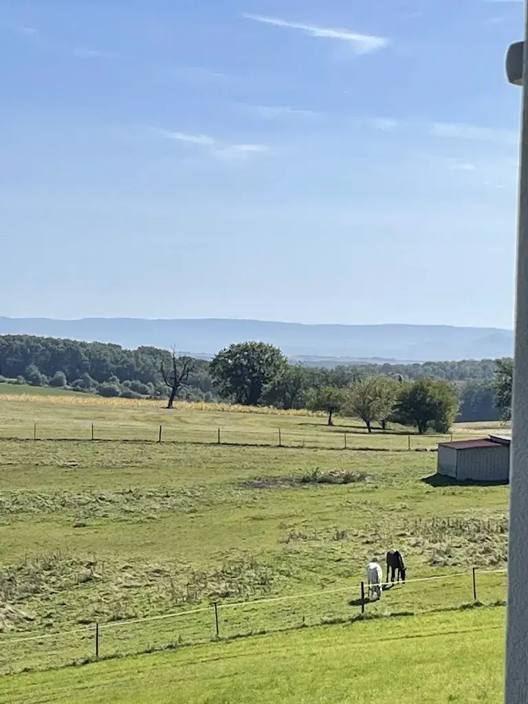 Kenneth_Le Cleebourg_Rott_review