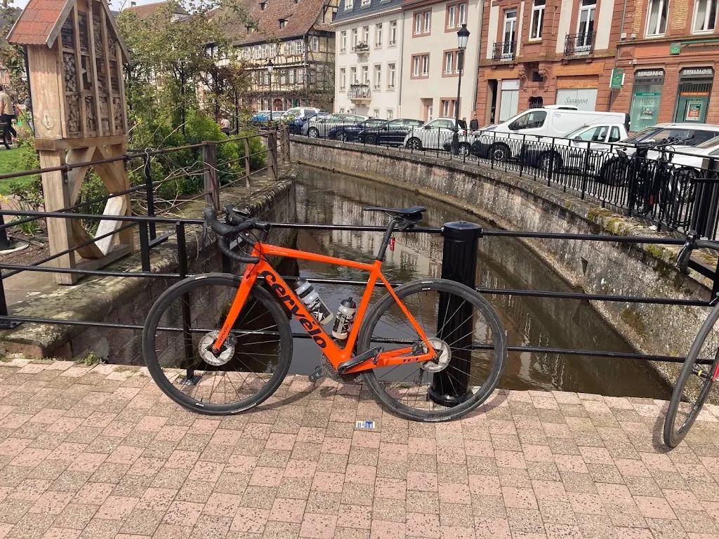 Michael Lehnert_Café La Pépinière_Wissembourg_recensione