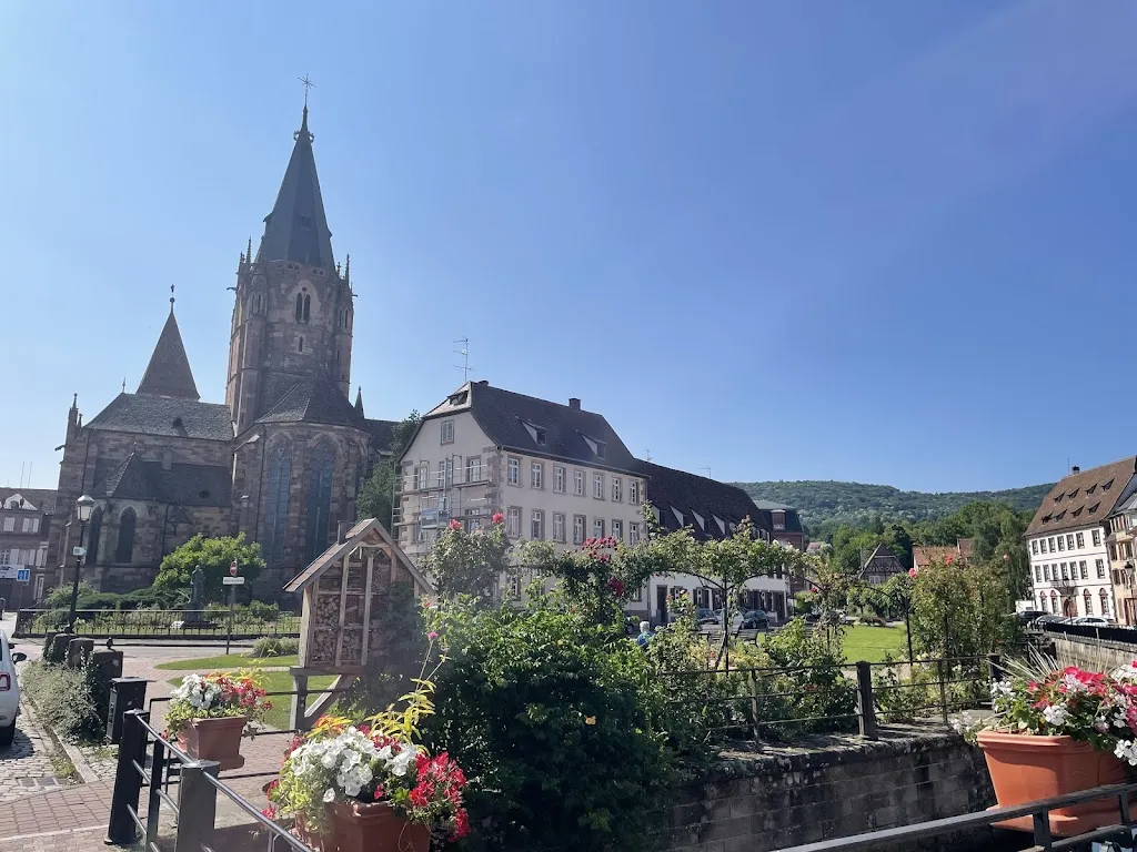 santosh chandrashekhar_Wissembourg_Wissembourg_review