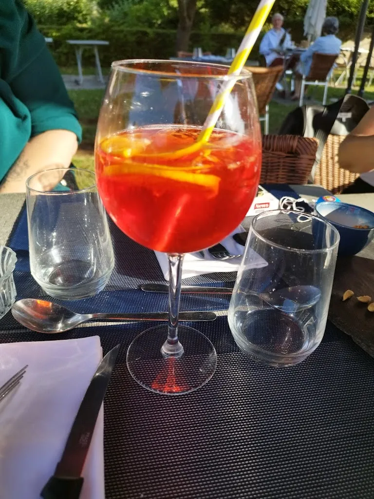 florence playe_Logis - Restaurant La Pomme d'Or_Coucy-le-Château-Auffrique_review