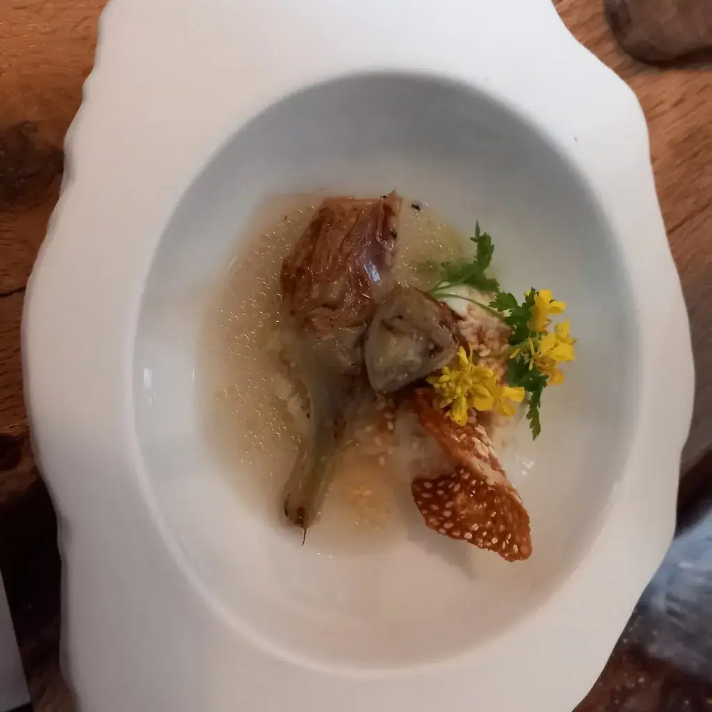 Philippe Degorre_Maison Renard_Béthune_review