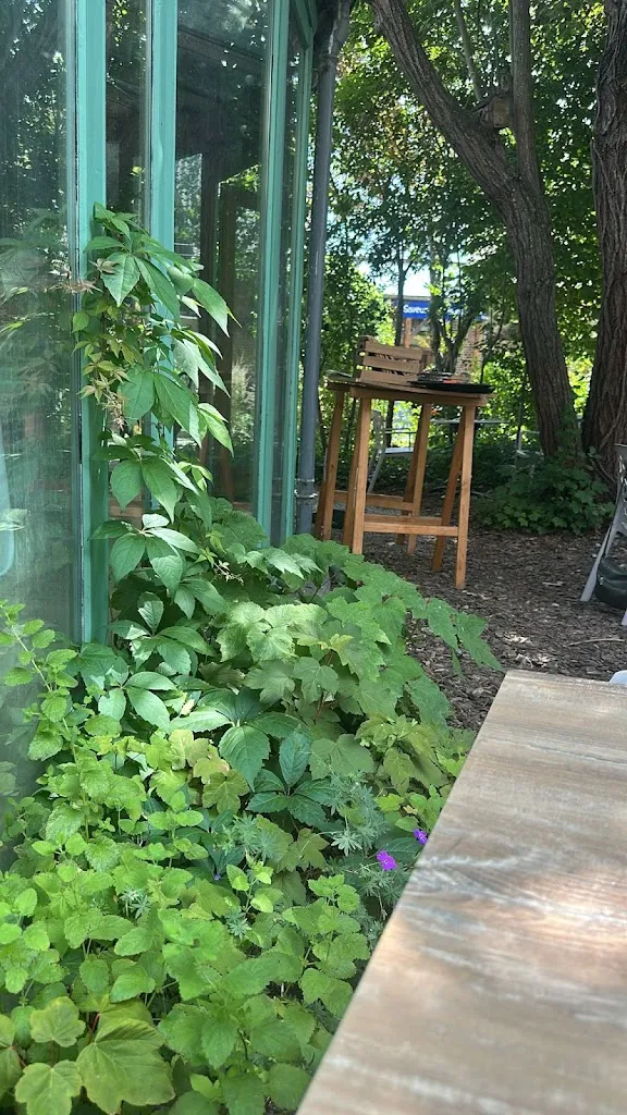 Kristina Danyliuk_Le Petit jardin_Villeneuve-d'Ascq_recensione