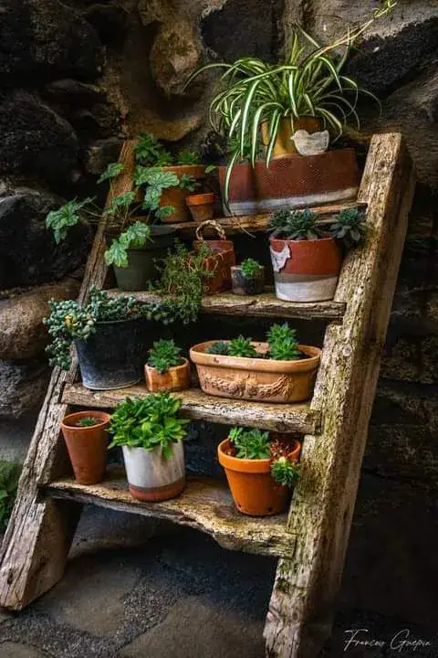 Menu_Pizzeria La Romaine_Alba-la-Romaine_image_6