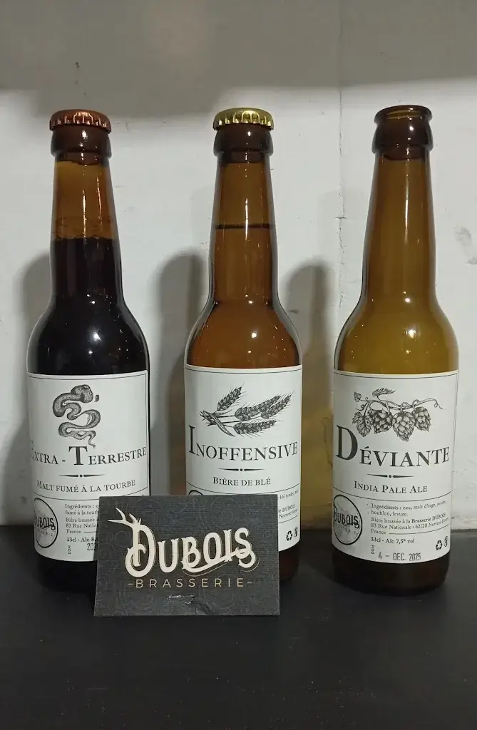 Blanc Gilles_Brasserie DUBOIS_Norrent-Fontes_review