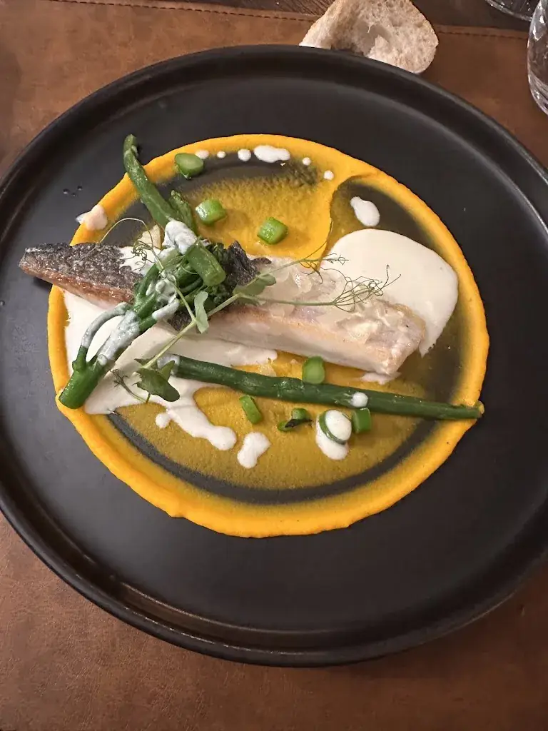 Anne Zebra Umbrella Koala_AUTREMENT_Beauvais_review