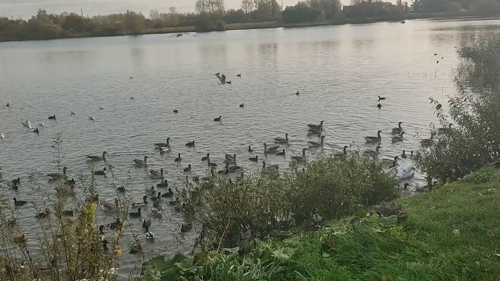 Lac d'Armbouts-Cappel_Armbouts-Cappel_slider_image_2