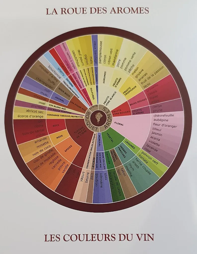 Menu_LA DAME JEANNE BAR A VIN_Arras_image_2