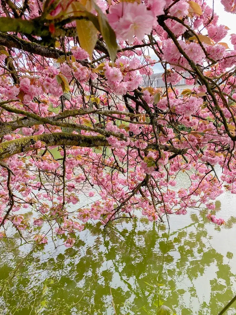 Katie Freidhof_Le Château D'Aubry Valenciennes_Aubry-du-Hainaut_review