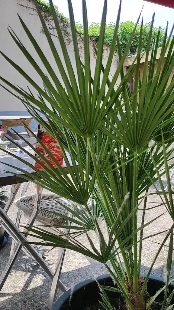 Le Huit Pool_Bassée_slider_image_2