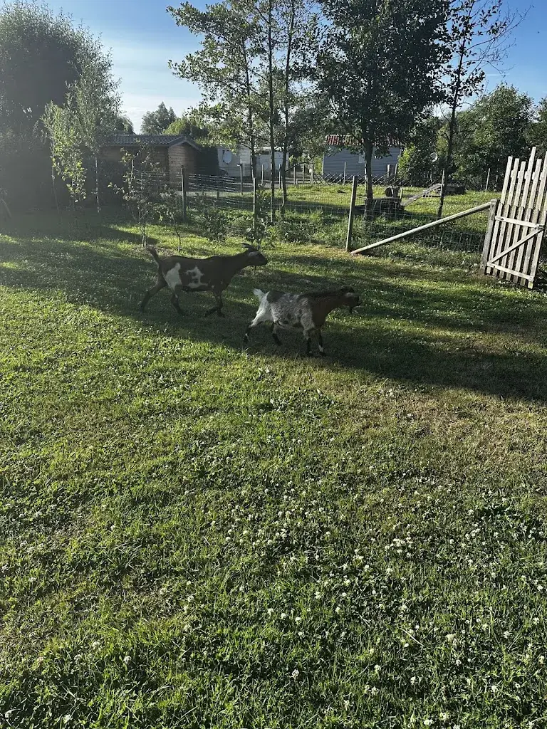 Carla Elliott_Les Robinsons du Lac - Le Camping_Ardres_review