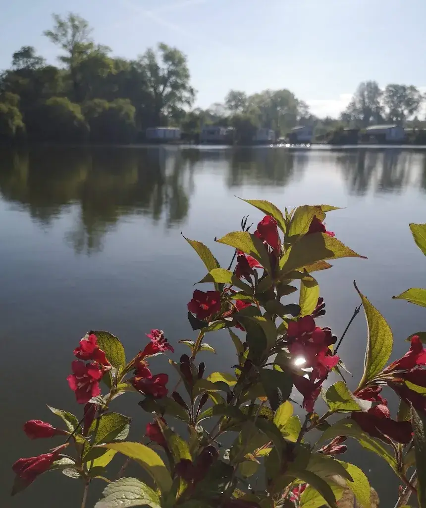 Les Robinsons du Lac - Le Camping_Ardres_slider_image_3