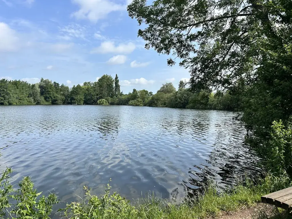 Lac d'Ardres ristorante a Ardres