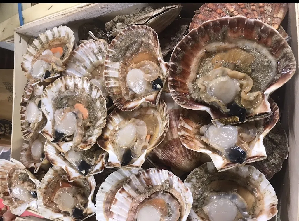 La Belle Époque_Hesdin-la-Forêt_slider_image_3