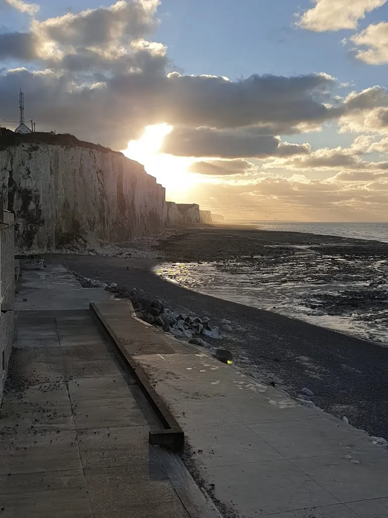 gerbil england_AUX VENTS ET MAREES_Ault_reseña