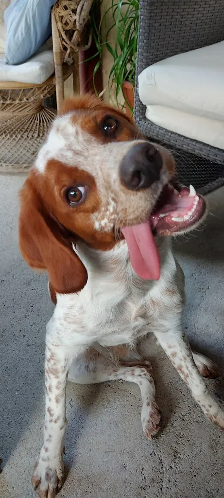 Beer & Cheese_Chatte_slider_image_3