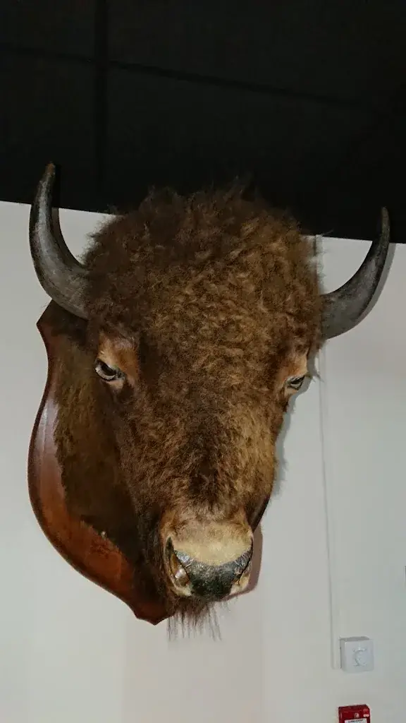 James Kay_Restaurant Le Bonavis_Valenciennes_reseña