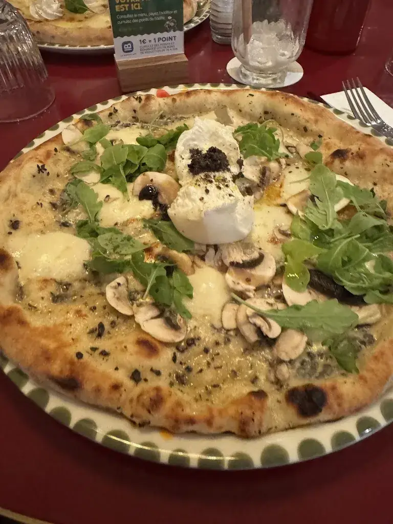 cedvafc_Volfoni Valenciennes_Valenciennes_review