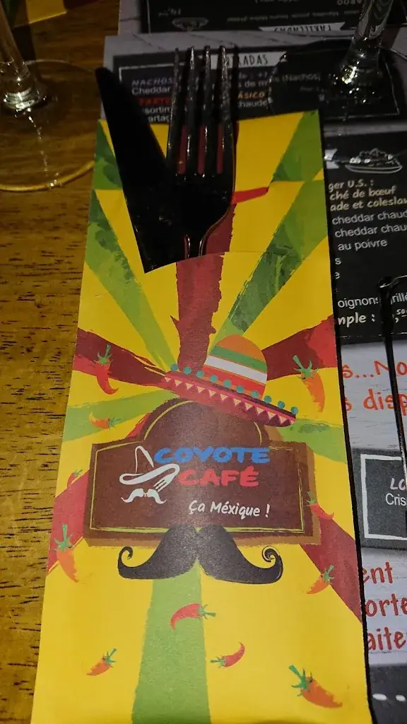 James Kay_Le Coyote_Valenciennes_review