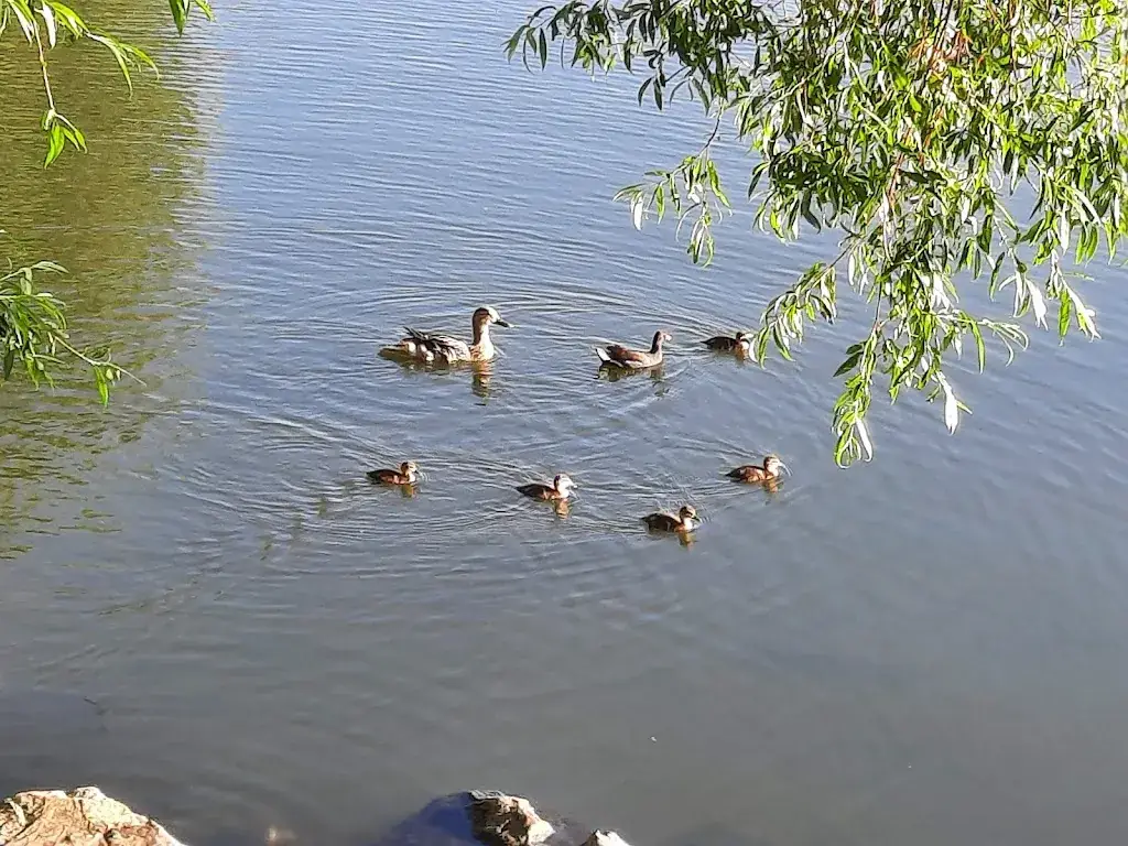 Gerry Laureys_Quai 70_Valenciennes_review