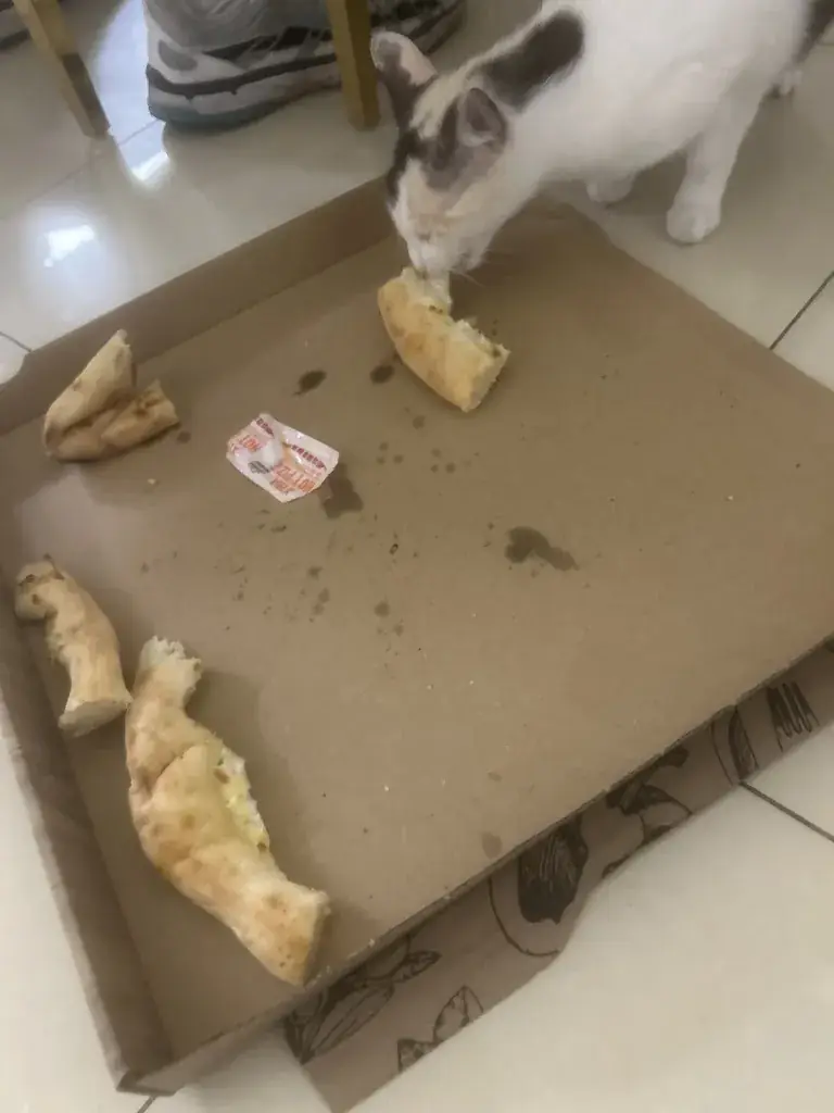 anis yousfi_Pizza Service_Beauchamp_review