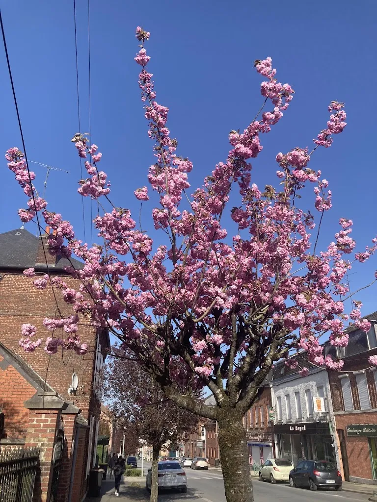 LE ROYAL_Avesnes-sur-Helpe_slider_image_3