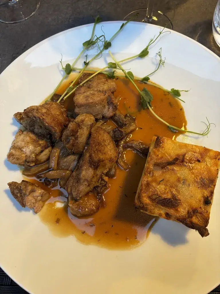 Samuel A._Le Nervien_Bavay_review