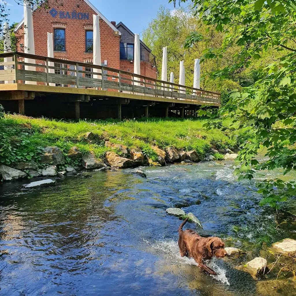 Brasserie Au Baron_Gussignies_slider_image_1