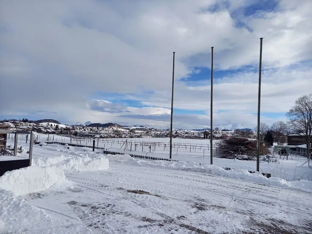 Beat Schenk_Stiftung Bernaville_Schwarzenburg_recensione