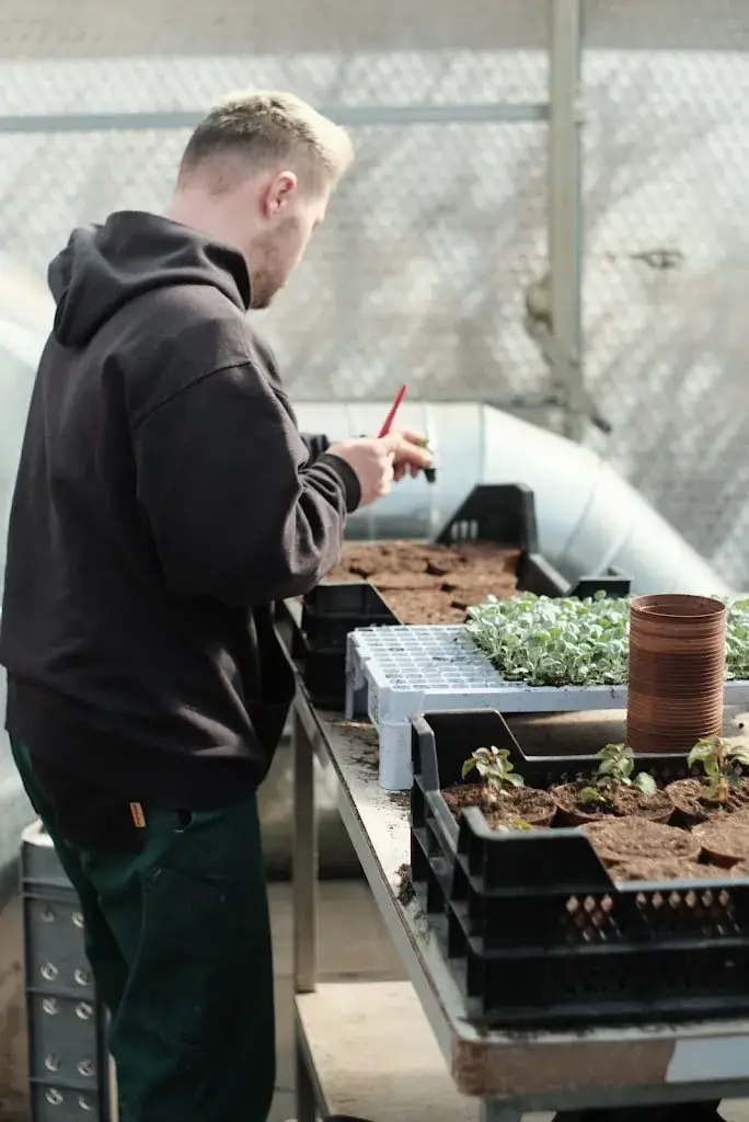 Bernaville Gärtnerei_Schwarzenburg_slider_image_2