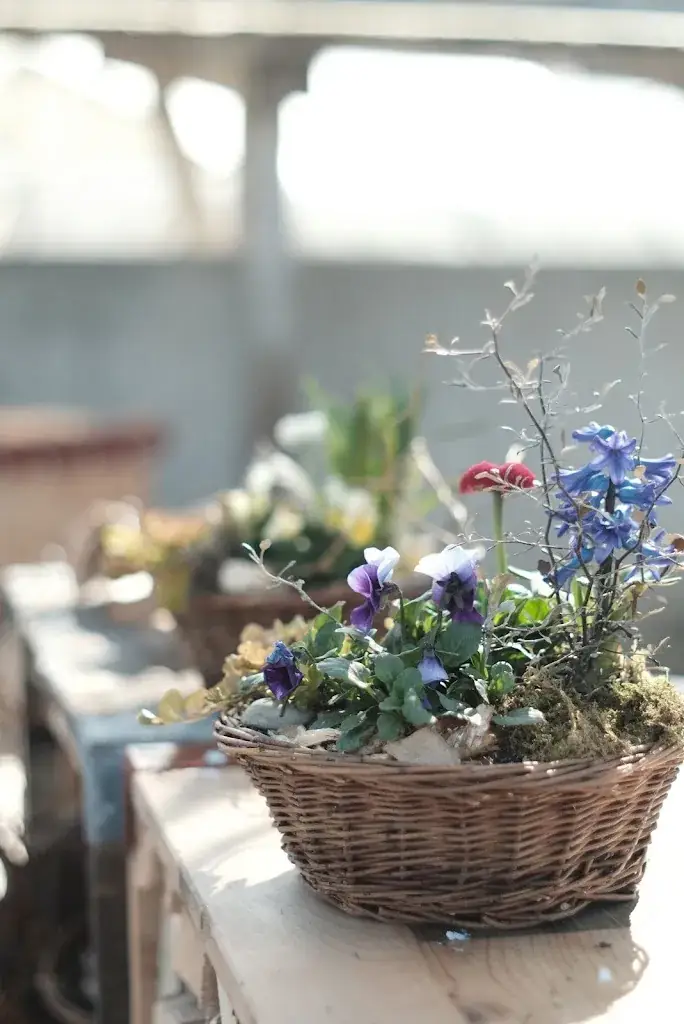 Bernaville Gärtnerei_Schwarzenburg_slider_image_3