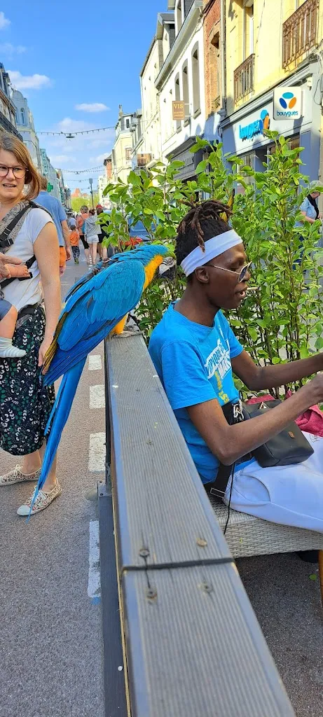 herve clement_La Rue Gourmande_Berck_review